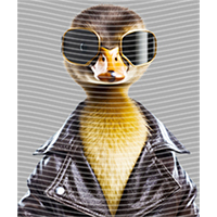 Animal Integration-DW 2231